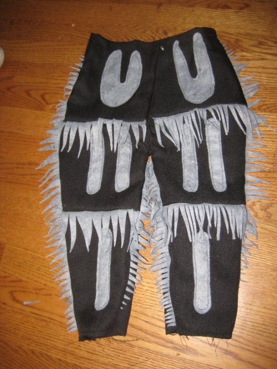 zebra_tarantual_legs